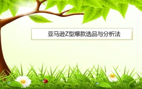 亚马逊Z型爆款选品与运营全攻略-15页