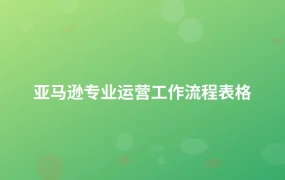 亚马逊专业运营工作流程表格-1页