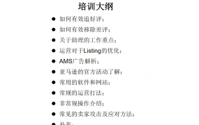 亚马逊内部运营与广告优化实战指南-61页