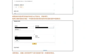 亚马逊北美站点税务调查填写-W8指南-4页