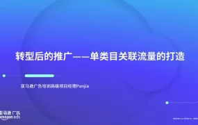 亚马逊单类目关联流量打造策略指南-13页