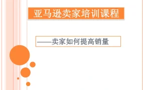 亚马逊卖家销量提升实战指南-44页