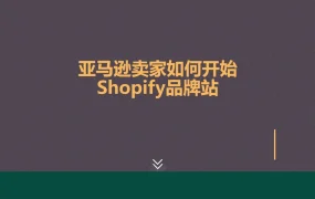 亚马逊卖家如何开始Shopify品牌站-27页