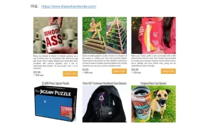 亚马逊卖家必备10大选品网站指南-6页