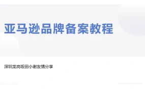 亚马逊品牌备案全流程指南（含发票模板）-8页