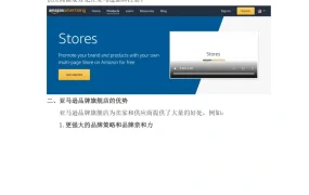 亚马逊品牌旗舰店运营指南-12页