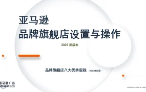 亚马逊品牌旗舰店设置与操作全流程2023-19页