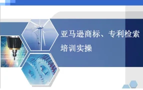 亚马逊商标专利检索与侵权规避实操指南-37页