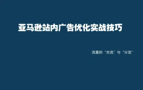 亚马逊站内广告优化实战技巧-46页