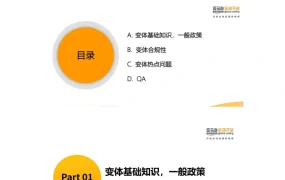 亚马逊变体政策合规指南-14页