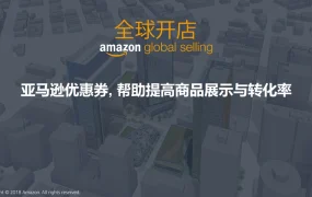 亚马逊优惠券使用指南：提升商品展示与转化率-12页