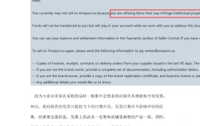 亚马逊申诉发票提交指南-5页