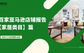 2023年亚马逊家居类目百家店铺研究报告-67页