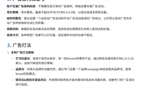 亚马逊广告捡漏策略技巧库-3页