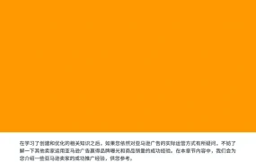 亚马逊广告优秀案例解析与实战指南-12页