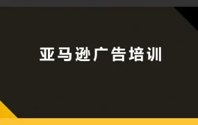亚马逊广告优化与投放策略指南-22页