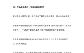 亚马逊广告算法数据分析技巧-8页