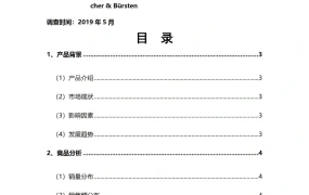 亚马逊德国站汽车清洁工具类目市场调查数据报告-16页