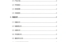 亚马逊德国站男装上衣类目市场调查数据报告-12页