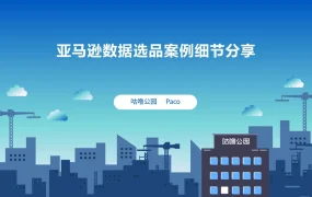 亚马逊数据选品案例细节分享-37页