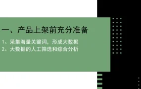 亚马逊新品广告策略与底层逻辑解析-11页