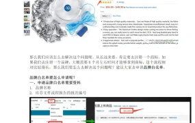 亚马逊无品牌产品报错问题与品牌白名单申请流程指南-10页