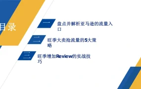 亚马逊旺季大卖流量获取与Review增加技巧解析-13页