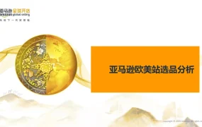 亚马逊欧美站选品分析指南-19页