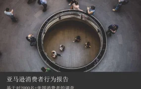 2019年亚马逊消费者行为报告-33页