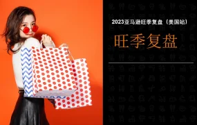 亚马逊美国站2023旺季各类目数据复盘报告-14页