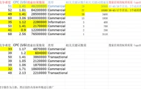 小关键字簇价值和竞争程度分析模型-23行-1个子表