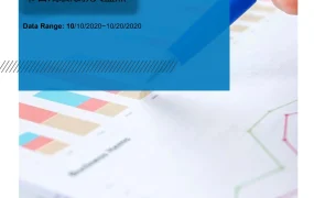 2025年亚马逊与Shopify万圣节戏装爆款趋势分析报告-12页