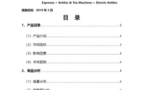 亚马逊英国站电水壶类目市场调查数据报告-16页