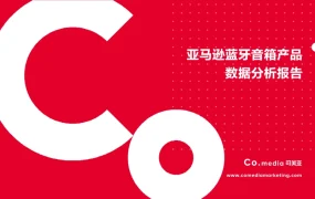 亚马逊蓝牙音箱产品数据分析报告-15页