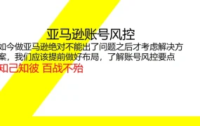 亚马逊账号风控系统性解析与实操指南-21页
