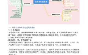 亚马逊防跟卖与赶跟卖全攻略-18页