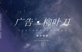 亚马逊柳叶刀广告模型实战指南-76页