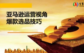 亚马逊运营视角爆款选品技巧-26页