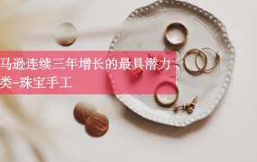 亚马逊连续三年增长的最具潜力品类-珠宝手工-17页