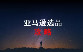 亚马逊选品攻略-82页