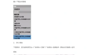 亚马逊销售汇总表操作指南-2页
