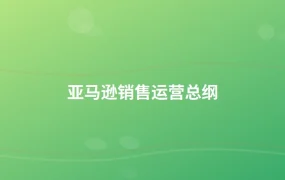 亚马逊销售运营总纲-1页