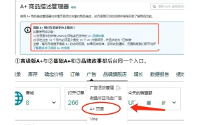 亚马逊高级A+功能详解与实战指南-9页