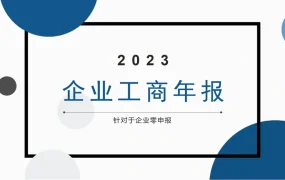 2023年企业工商年报零申报操作指南-11页