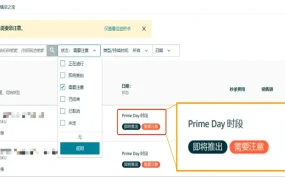 运营指导｜亚马逊Prime会员日冲刺29项自查清单 2024年7月2日
