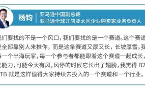 市场趋势｜亚马逊推出DTB模式重塑跨境电商B2B生态，中小企业迎新机遇