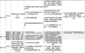 亚马逊销售助理新人培训计划表-14行-1个子表