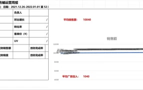跨境电商店铺周报分析：2025-3.9-店铺周报分享版-7973行-21个子表
