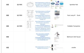 亚马逊美国站知识产权侵权案例汇总表-38行-1个子表