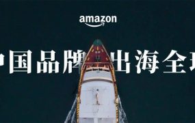 市场趋势｜中国品牌借亚马逊实现全球化扩张，出海增长40倍